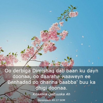 Picture 03 - Yeremyaah 49:27 SOM - Oo derbiga Dimishaq dab baan ku dayn doonaa, oo - Bible Verse Picture