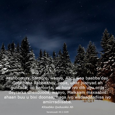 Picture 03 - Yeremyaah 49:3 SOM - Xeshboonay, barooro, waayo, Aacii waa baabba'day. - Bible Verse Picture