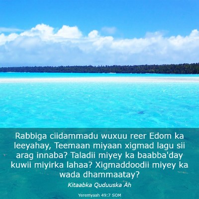 Picture 03 - Yeremyaah 49:7 SOM - Rabbiga ciidammadu wuxuu reer Edom ka leeyahay, - Bible Verse Picture