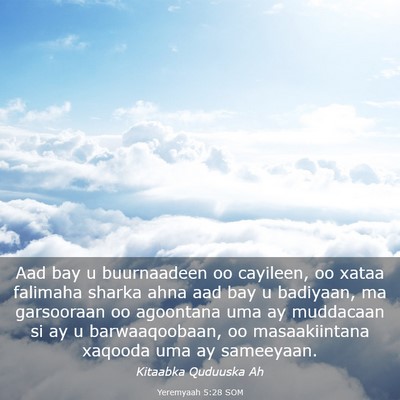 Picture 03 - Yeremyaah 5:28 SOM - Aad bay u buurnaadeen oo cayileen, oo xataa - Bible Verse Picture