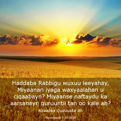Picture 03 - Yeremyaah 5:29 SOM - Haddaba Rabbigu wuxuu leeyahay, Miyaanan iyaga - Bible Verse Picture