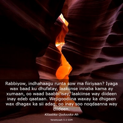 Picture 03 - Yeremyaah 5:3 SOM - Rabbiyow, indhahaagu runta sow ma fiiriyaan? - Bible Verse Picture