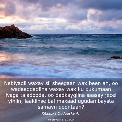 Picture 03 - Yeremyaah 5:31 SOM - Nebiyadii waxay sii sheegaan wax been ah, oo - Bible Verse Picture