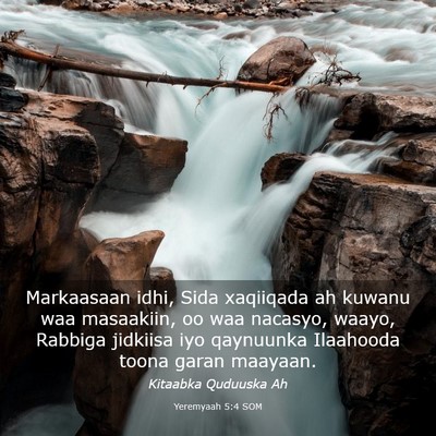 Picture 03 - Yeremyaah 5:4 SOM - Markaasaan idhi, Sida xaqiiqada ah kuwanu waa - Bible Verse Picture