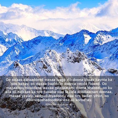 Picture 03 - Yeremyaah 5:6 SOM - Oo sidaas daraaddeed waxaa iyaga dili doona - Bible Verse Picture