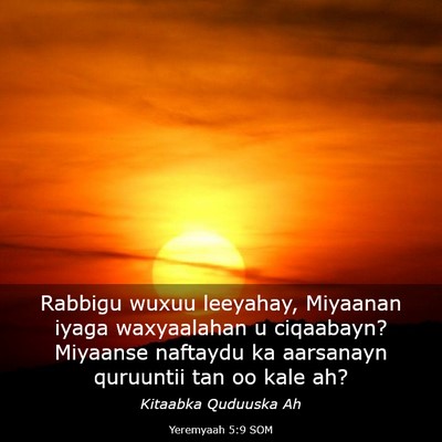 Picture 03 - Yeremyaah 5:9 SOM - Rabbigu wuxuu leeyahay, Miyaanan iyaga - Bible Verse Picture