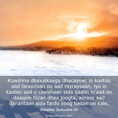 Picture 03 - Yeremyaah 50:11 SOM - Kuwiinna dhaxalkayga dhacayow, in kastoo aad - Bible Verse Picture