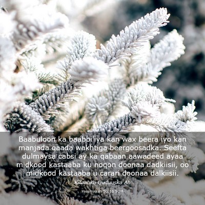 Picture 03 - Yeremyaah 50:16 SOM - Baabuloon ka baabbi'iya kan wax beera iyo kan - Bible Verse Picture