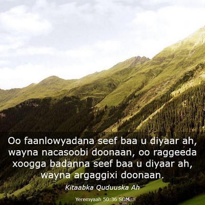 Picture 03 - Yeremyaah 50:36 SOM - Oo faanlowyadana seef baa u diyaar ah, wayna - Bible Verse Picture