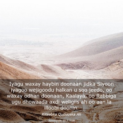 Picture 03 - Yeremyaah 50:5 SOM - Iyagu waxay haybin doonaan jidka Siyoon iyagoo - Bible Verse Picture