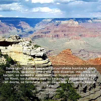 Picture 03 - Yeremyaah 51:27 SOM - Dalka calan ka dhex taaga, oo quruumahana buunka - Bible Verse Picture