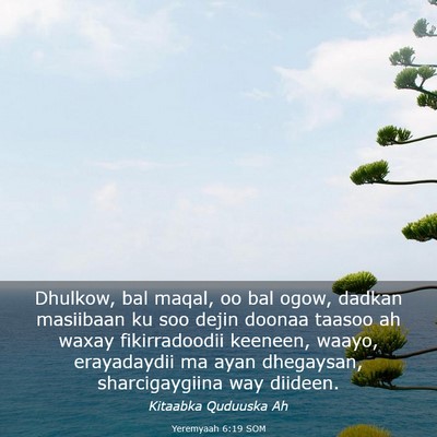 Picture 03 - Yeremyaah 6:19 SOM - Dhulkow, bal maqal, oo bal ogow, dadkan masiibaan - Bible Verse Picture