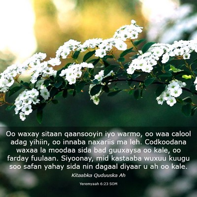 Picture 03 - Yeremyaah 6:23 SOM - Oo waxay sitaan qaansooyin iyo warmo, oo waa - Bible Verse Picture