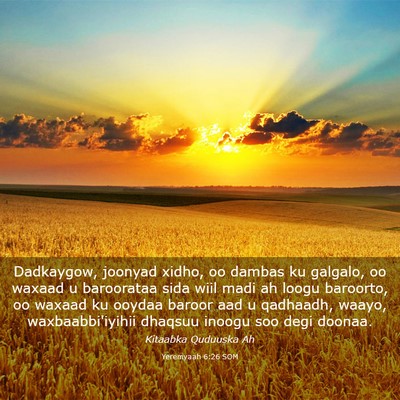Picture 03 - Yeremyaah 6:26 SOM - Dadkaygow, joonyad xidho, oo dambas ku galgalo, - Bible Verse Picture