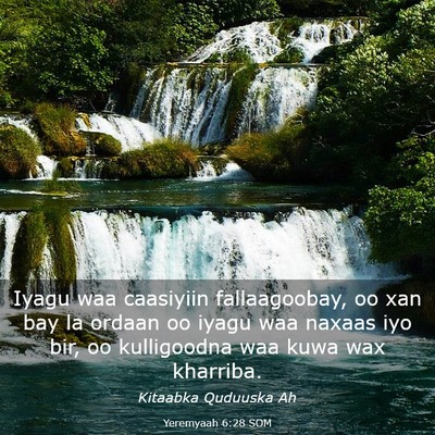 Picture 03 - Yeremyaah 6:28 SOM - Iyagu waa caasiyiin fallaagoobay, oo xan bay la - Bible Verse Picture