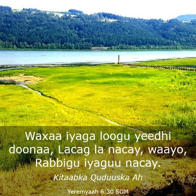 Picture 03 - Yeremyaah 6:30 SOM - Waxaa iyaga loogu yeedhi doonaa, Lacag la nacay, - Bible Verse Picture