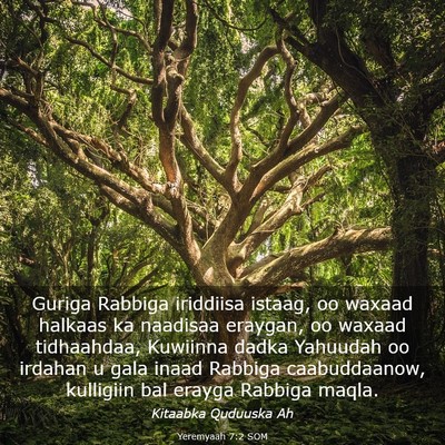 Picture 03 - Yeremyaah 7:2 SOM - Guriga Rabbiga iriddiisa istaag, oo waxaad - Bible Verse Picture