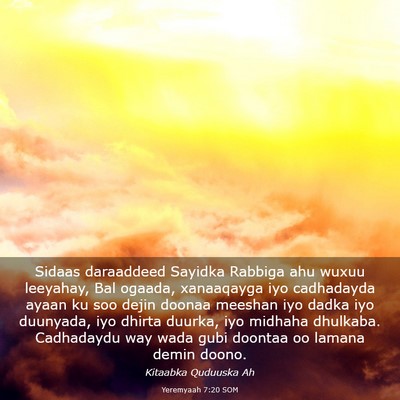 Picture 03 - Yeremyaah 7:20 SOM - Sidaas daraaddeed Sayidka Rabbiga ahu wuxuu - Bible Verse Picture
