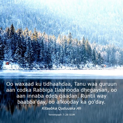 Picture 03 - Yeremyaah 7:28 SOM - Oo waxaad ku tidhaahdaa, Tanu waa quruun aan - Bible Verse Picture