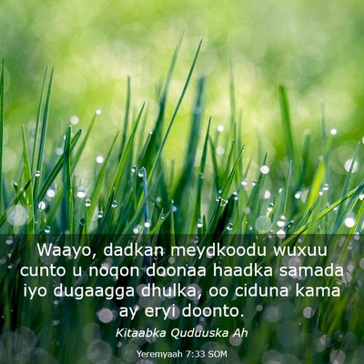 Picture 03 - Yeremyaah 7:33 SOM - Waayo, dadkan meydkoodu wuxuu cunto u noqon - Bible Verse Picture