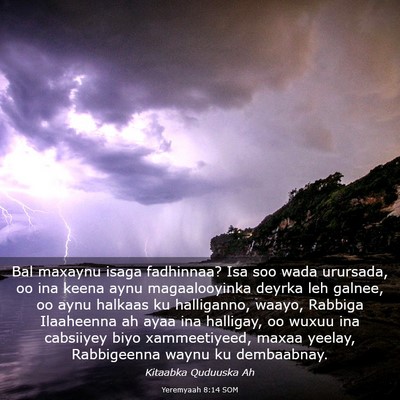 Picture 03 - Yeremyaah 8:14 SOM - Bal maxaynu isaga fadhinnaa? Isa soo wada - Bible Verse Picture