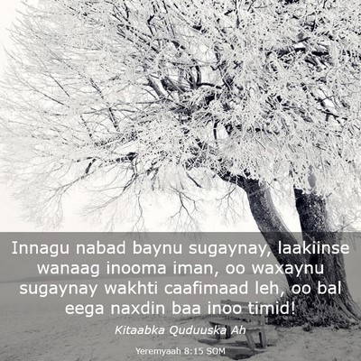 Picture 03 - Yeremyaah 8:15 SOM - Innagu nabad baynu sugaynay, laakiinse wanaag - Bible Verse Picture