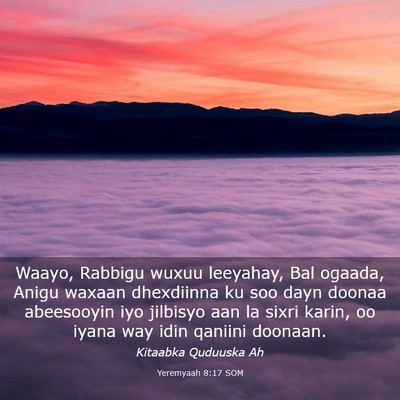 Picture 03 - Yeremyaah 8:17 SOM - Waayo, Rabbigu wuxuu leeyahay, Bal ogaada, Anigu - Bible Verse Picture