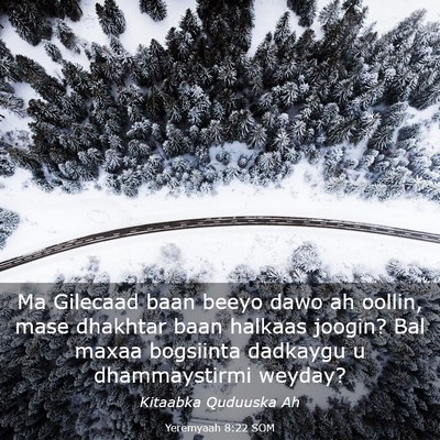 Picture 03 - Yeremyaah 8:22 SOM - Ma Gilecaad baan beeyo dawo ah oollin, mase - Bible Verse Picture
