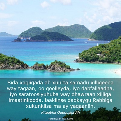 Picture 03 - Yeremyaah 8:7 SOM - Sida xaqiiqada ah xuurta samadu xilligeeda way - Bible Verse Picture
