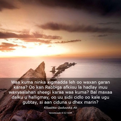 Picture 03 - Yeremyaah 9:12 SOM - Waa kuma ninka xigmadda leh oo waxan garan karaa? - Bible Verse Picture