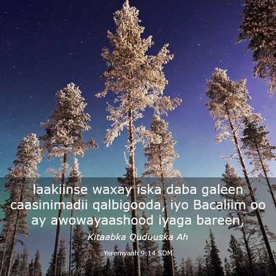 Picture 03 - Yeremyaah 9:14 SOM - laakiinse waxay iska daba galeen caasinimadii - Bible Verse Picture
