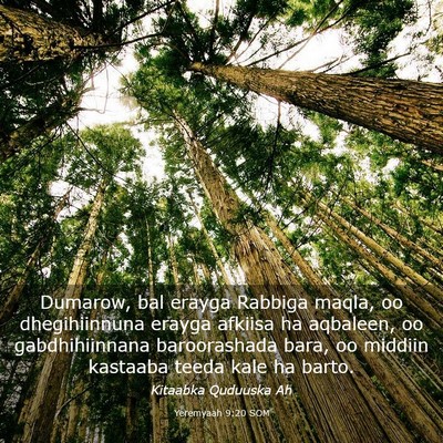 Picture 03 - Yeremyaah 9:20 SOM - Dumarow, bal erayga Rabbiga maqla, oo - Bible Verse Picture