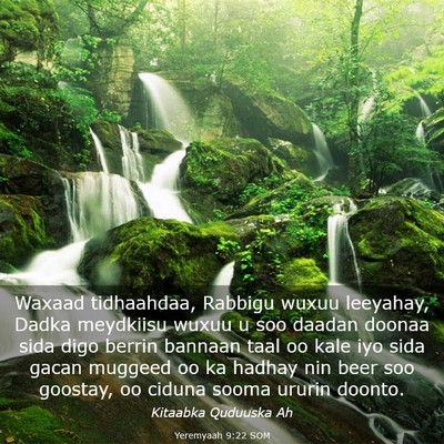 Picture 03 - Yeremyaah 9:22 SOM - Waxaad tidhaahdaa, Rabbigu wuxuu leeyahay, Dadka - Bible Verse Picture