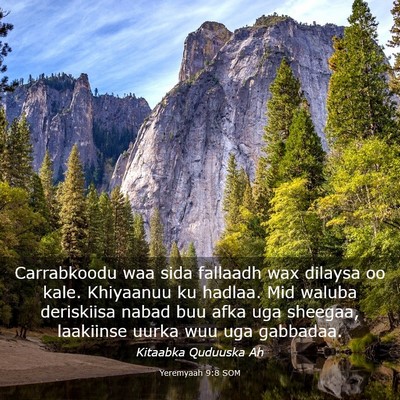 Picture 03 - Yeremyaah 9:8 SOM - Carrabkoodu waa sida fallaadh wax dilaysa oo - Bible Verse Picture