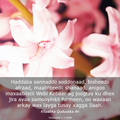 Picture 03 - Yexesqeel 1:1 SOM - Haddaba sannaddii soddonaad, bisheedii afraad, - Bible Verse Picture