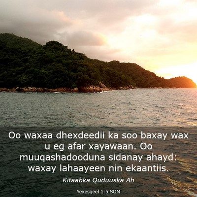 Picture 03 - Yexesqeel 1:5 SOM - Oo waxaa dhexdeedii ka soo baxay wax u eg afar - Bible Verse Picture