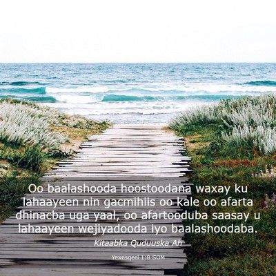 Picture 03 - Yexesqeel 1:8 SOM - Oo baalashooda hoostoodana waxay ku lahaayeen nin - Bible Verse Picture