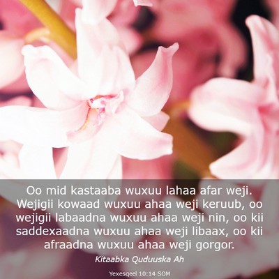 Picture 03 - Yexesqeel 10:14 SOM - Oo mid kastaaba wuxuu lahaa afar weji. Wejigii - Bible Verse Picture