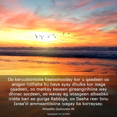 Picture 03 - Yexesqeel 10:19 SOM - Oo keruubiimtiina baalashooday kor u qaadeen oo - Bible Verse Picture