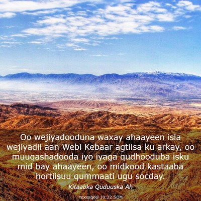 Picture 03 - Yexesqeel 10:22 SOM - Oo wejiyadooduna waxay ahaayeen isla wejiyadii - Bible Verse Picture
