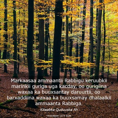 Picture 03 - Yexesqeel 10:4 SOM - Markaasaa ammaantii Rabbigu keruubkii marinkii - Bible Verse Picture