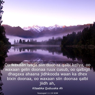 Picture 03 - Yexesqeel 11:19 SOM - Oo waxaan iyaga siin doonaa qalbi keliya, oo - Bible Verse Picture