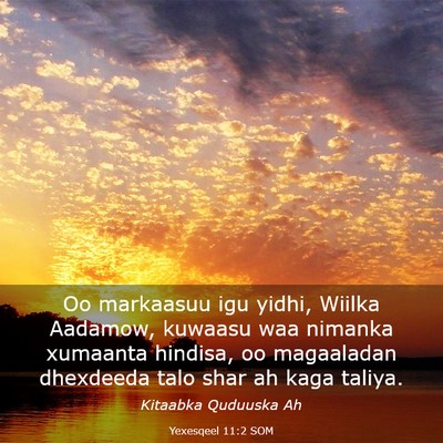 Picture 03 - Yexesqeel 11:2 SOM - Oo markaasuu igu yidhi, Wiilka Aadamow, kuwaasu - Bible Verse Picture