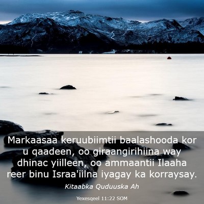 Picture 03 - Yexesqeel 11:22 SOM - Markaasaa keruubiimtii baalashooda kor u qaadeen, - Bible Verse Picture