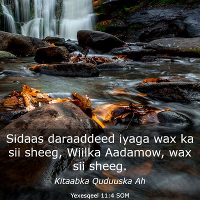 Picture 03 - Yexesqeel 11:4 SOM - Sidaas daraaddeed iyaga wax ka sii sheeg, Wiilka - Bible Verse Picture
