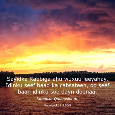 Picture 03 - Yexesqeel 11:8 SOM - Sayidka Rabbiga ahu wuxuu leeyahay, Idinku seef - Bible Verse Picture