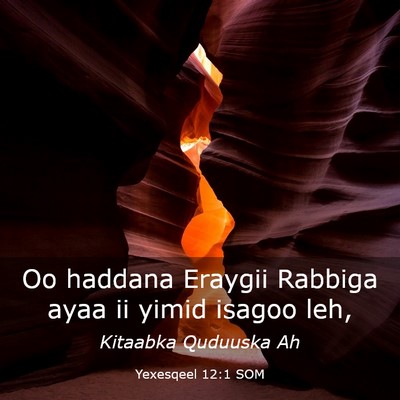 Picture 03 - Yexesqeel 12:1 SOM - Oo haddana Eraygii Rabbiga ayaa ii yimid isagoo - Bible Verse Picture