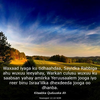 Picture 03 - Yexesqeel 12:10 SOM - Waxaad iyaga ku tidhaahdaa, Sayidka Rabbiga ahu - Bible Verse Picture