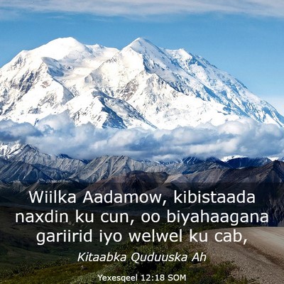 Picture 03 - Yexesqeel 12:18 SOM - Wiilka Aadamow, kibistaada naxdin ku cun, oo - Bible Verse Picture