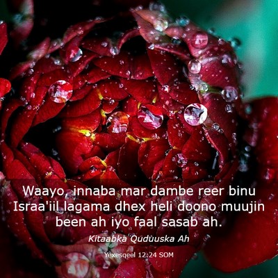 Picture 03 - Yexesqeel 12:24 SOM - Waayo, innaba mar dambe reer binu Israa'iil - Bible Verse Picture